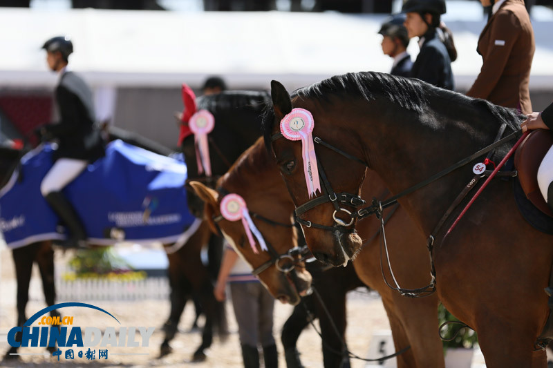 第四届北京国际马术大师赛5月续写骑士风采[3