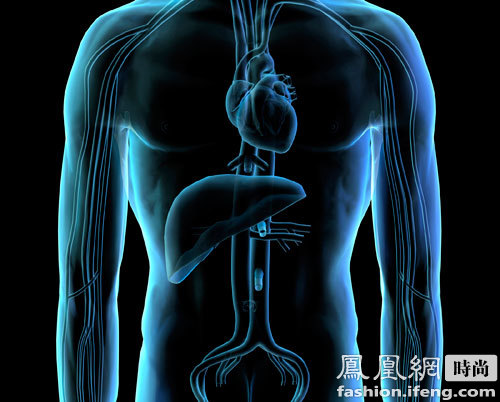 如何在两周内快速减肥?