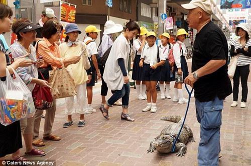 老人买鳄鱼做宠物，相处34年亲密无间，没事就抱在一起