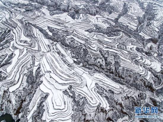 黄土高原降春雪 黑白分明如画卷