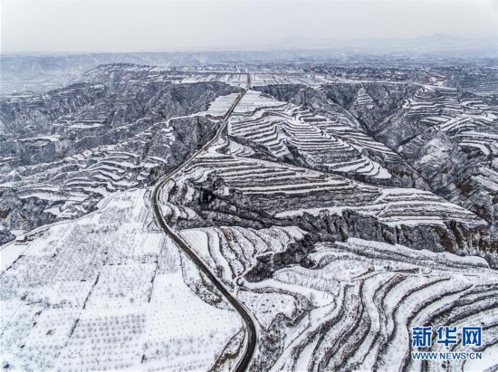 黄土高原降春雪 黑白分明如画卷