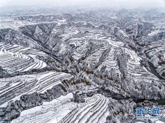 黄土高原降春雪 黑白分明如画卷