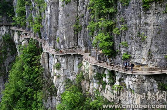 [千万粉丝走进鄂旅投]一曲《龙船调》托起几多脱贫梦