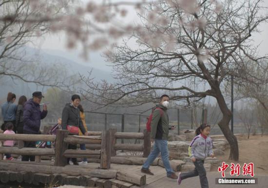 3月22日，北京遭遇雾霾天，空气质量达中度污染。图为市民在北京植物园赏春花。 <a target=&apos;_blank&apos; href=&apos;http://www.chinanews.com/&apos; _fcksavedurl=&apos;http://www.chinanews.com/&apos;></table><p align=
