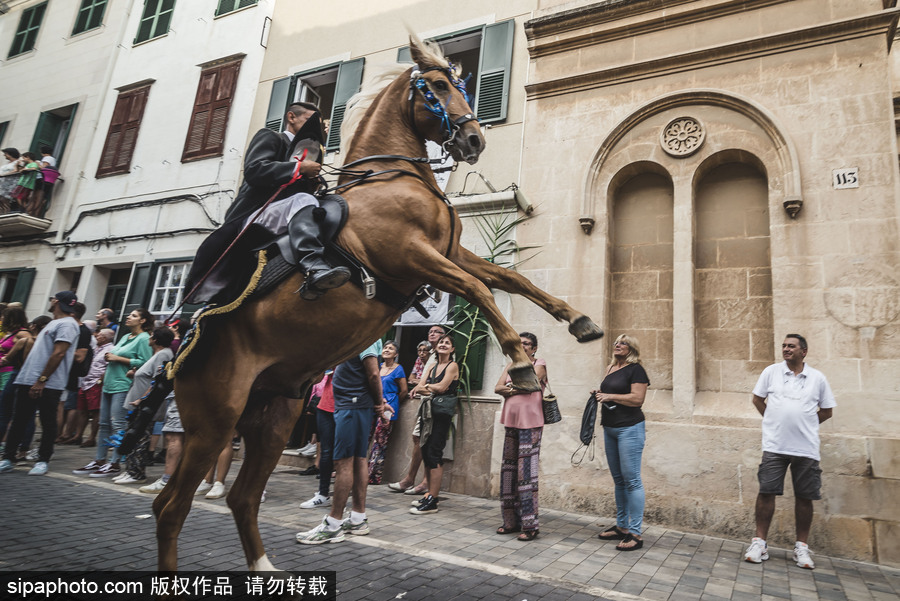 西班牙马翁庆祝格拉西亚节 骑手携坐骑亮相吸睛