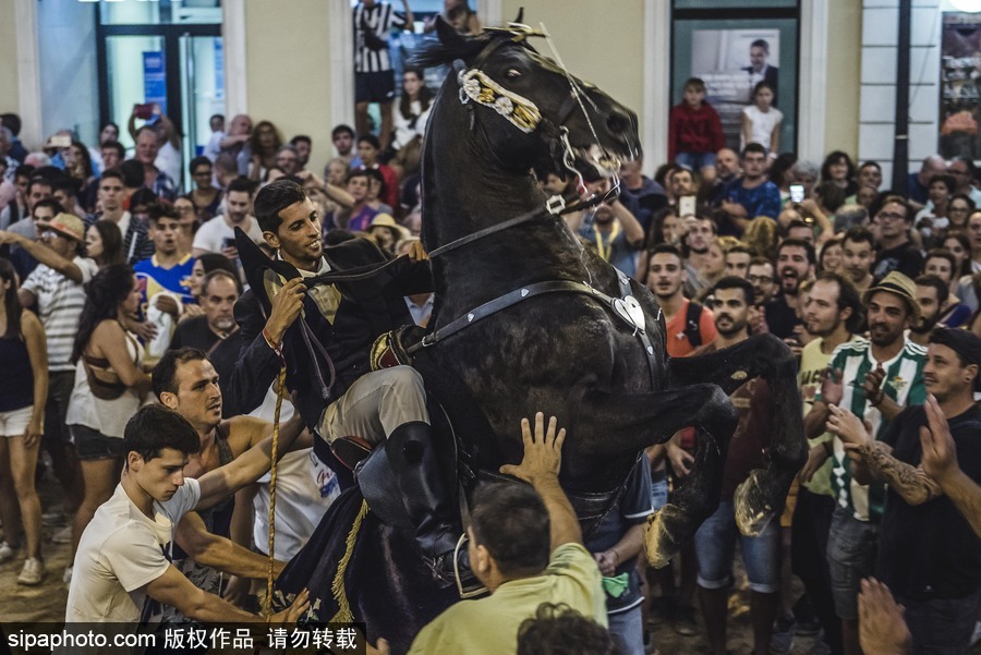 西班牙马翁庆祝格拉西亚节 骑手携坐骑亮相吸睛