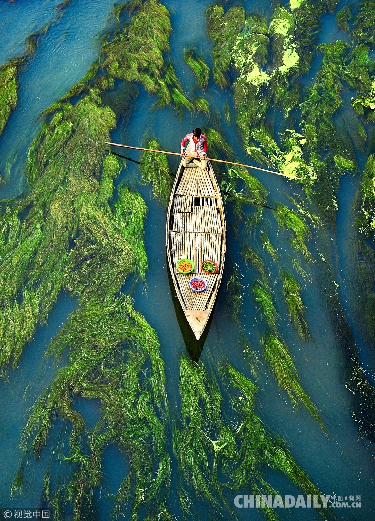 孟加拉小镇河流恍若仙境 水草抢镜似油画浓墨重彩