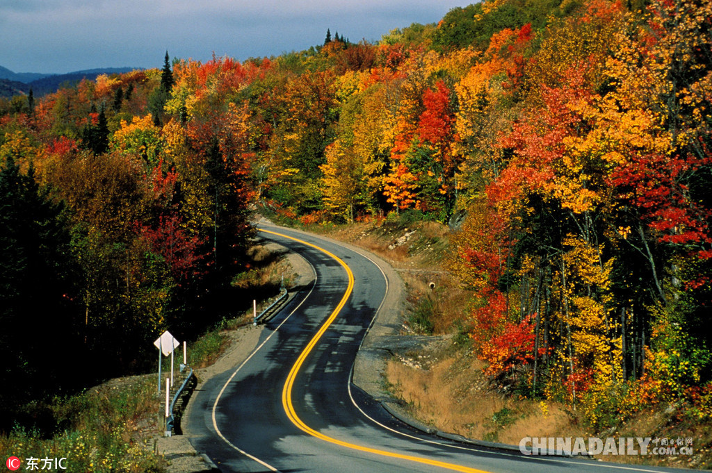 加拿大秋季迷人风光.(图片来源:东方ic)