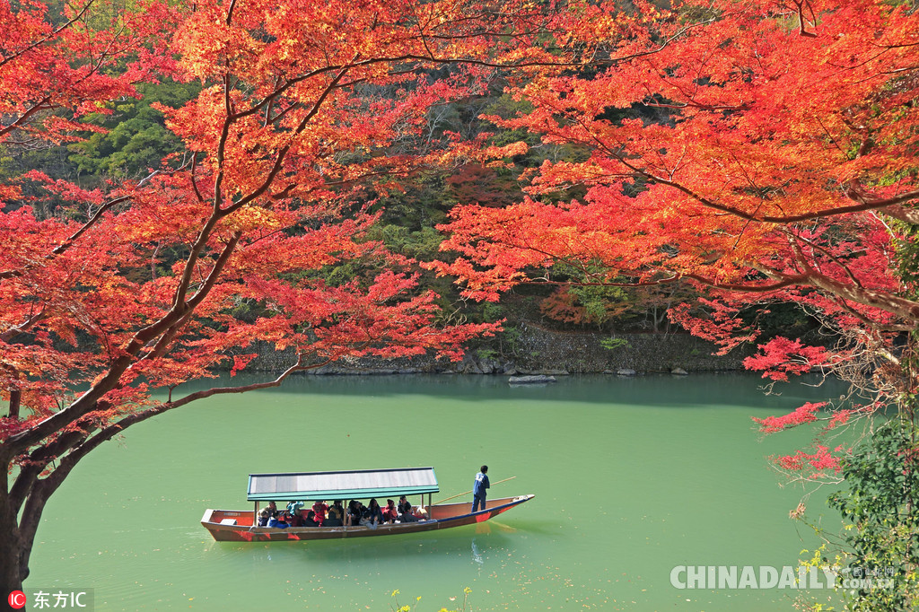 国庆假期去日本赴一场秋天的约会