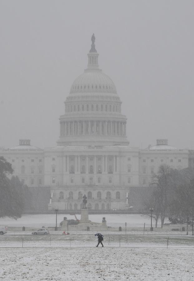 美国华盛顿迎来今年首场降雪