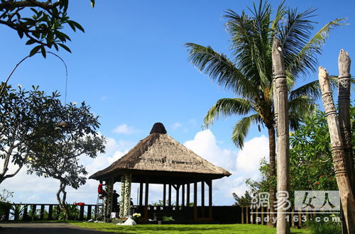 杨幂刘恺威大婚绝美婚纱照曝光[6]