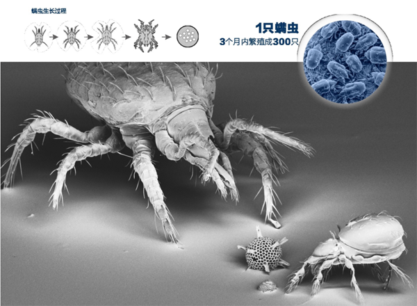 321国际睡眠日 别忽视孩子的睡眠健康