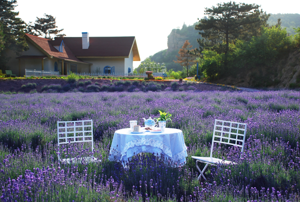 芳菲浓夏 清凉密云2018京津冀夏季旅游主题